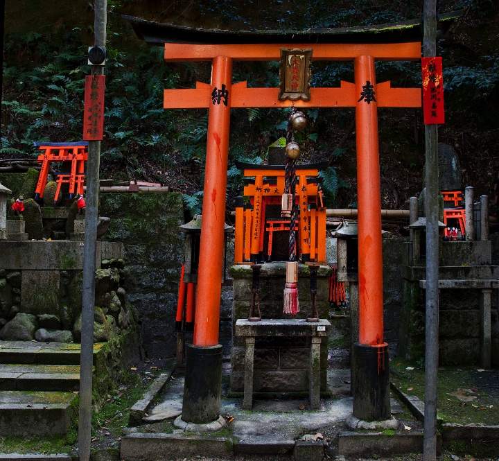 Fushimi-Inari Shrine Orange Torii 11-1797.jpg